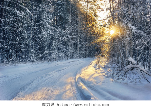 在寒冷的季节里冬天下的雪地冬季雪地森林里的路转向了太阳。冬天的风景，许多白雪，森林里的日出